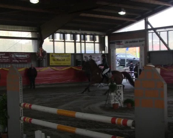 Hallenreitturnier Lindlar-Süttenbach 2014