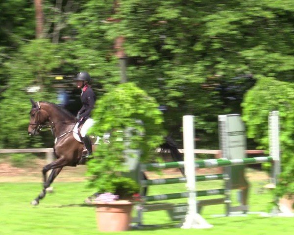 Reitturnier Zeven 2025