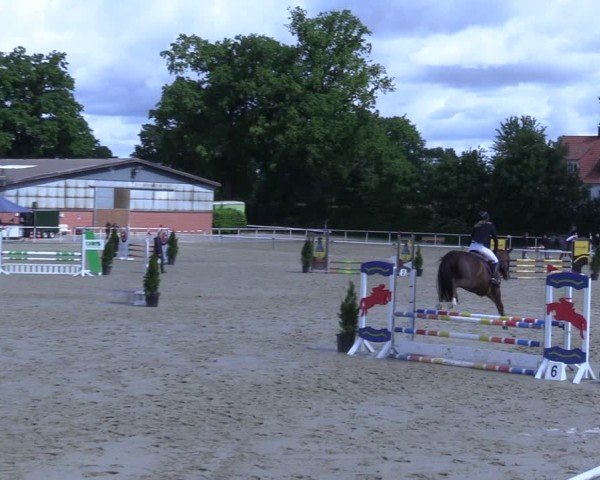 Reitturnier Ostenfelde-Vornholz 2025