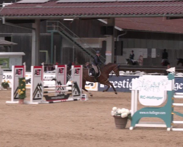 Reitturnier Ranshofen - Braunau am Inn 2025