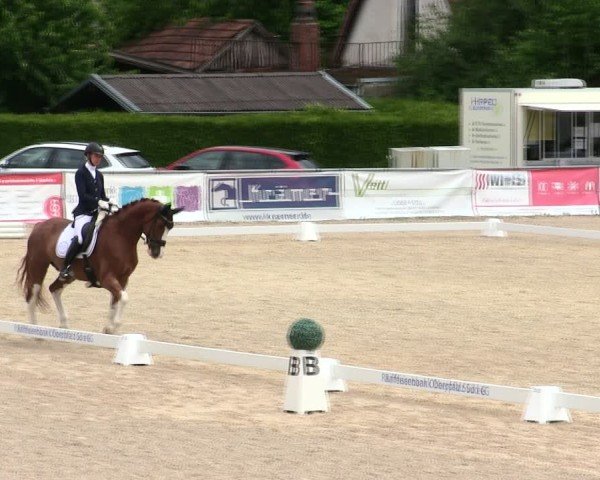 Reitturnier Mallersdorf-Pfaffenberg/Ndb. 2025