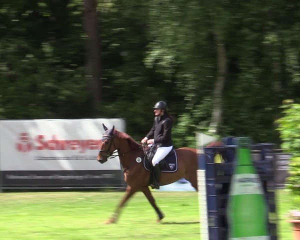 Reitturnier Zeven 2025