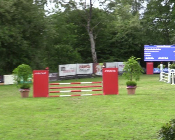 Reitturnier Zeven 2025