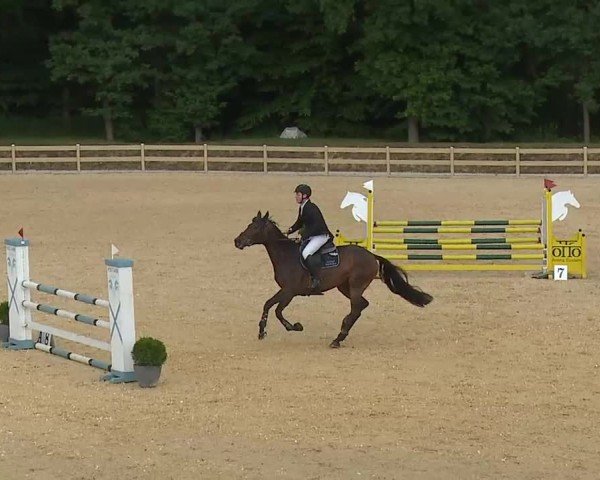 Reitturnier Tiefenhof/Opf. 2025