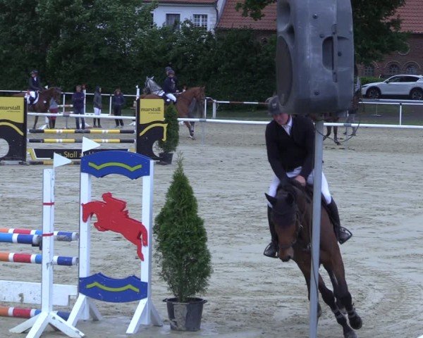 Reitturnier Ostenfelde-Vornholz 2025