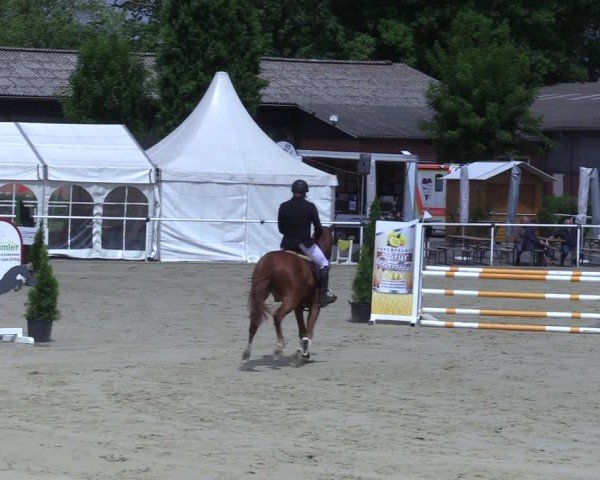 Reitturnier Ostenfelde-Vornholz 2025