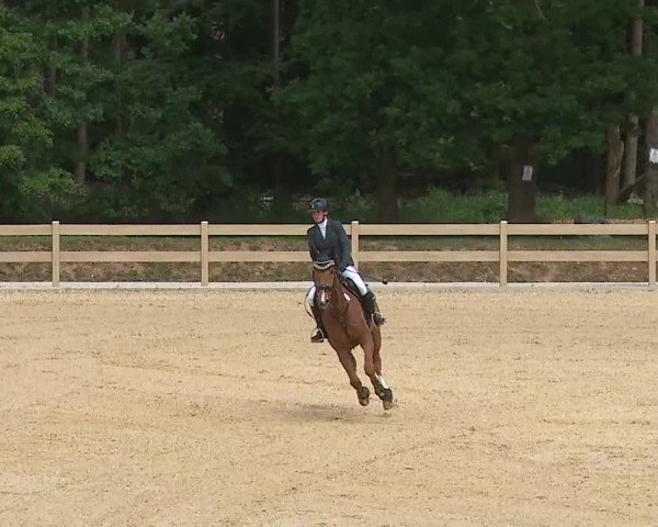 Reitturnier Tiefenhof/Opf. 2025