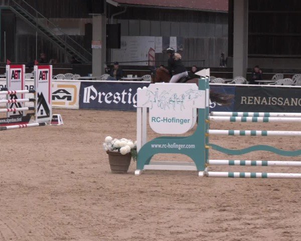 Reitturnier Ranshofen - Braunau am Inn 2025