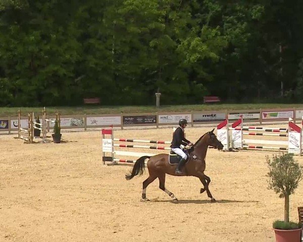 Reitturnier Tiefenhof/Opf. 2025