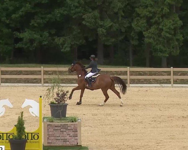 Reitturnier Tiefenhof/Opf. 2025