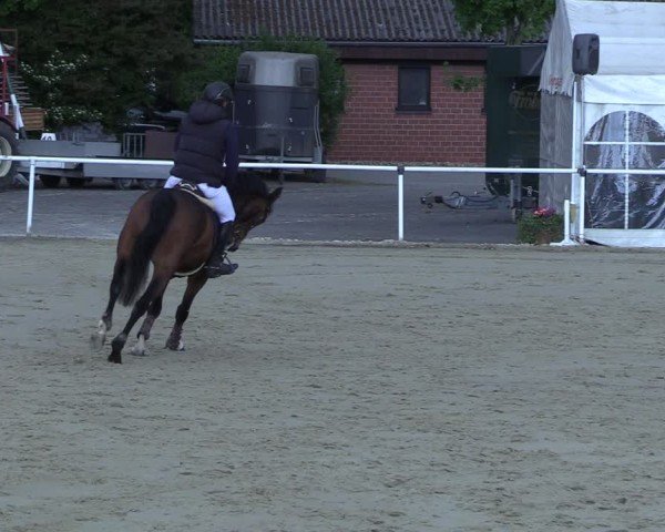 Reitturnier Ostenfelde-Vornholz 2025