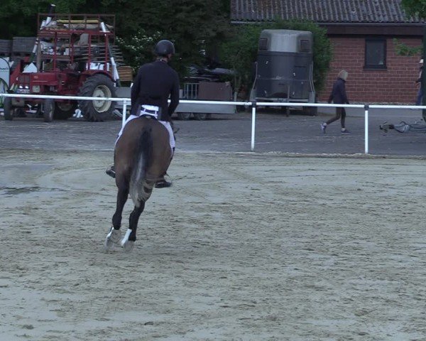 Reitturnier Ostenfelde-Vornholz 2025