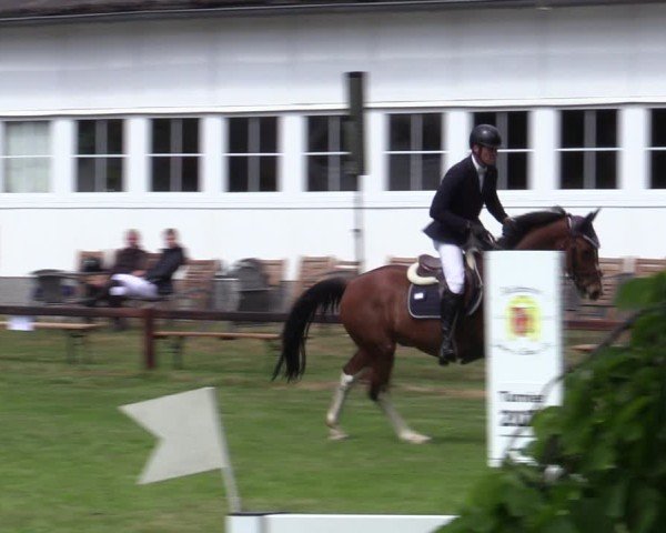 Reitturnier Zeven 2025