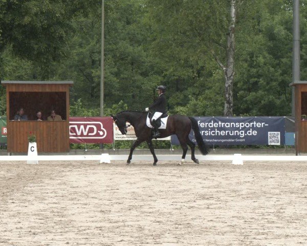 Reitturnier Erkrath - Uhlenhof 2025
