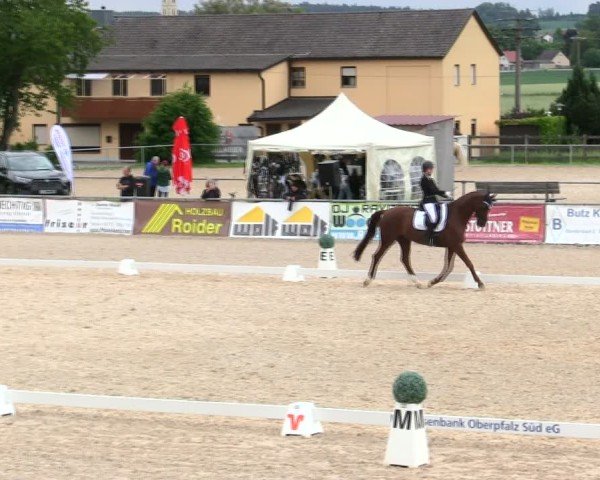 Reitturnier Mallersdorf-Pfaffenberg/Ndb. 2025