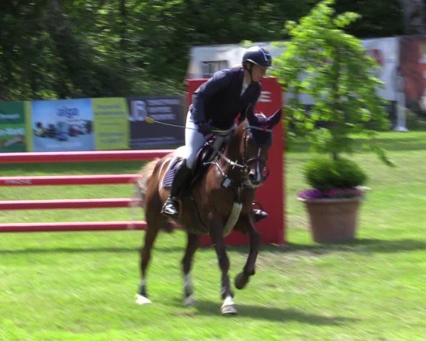 Reitturnier Zeven 2025