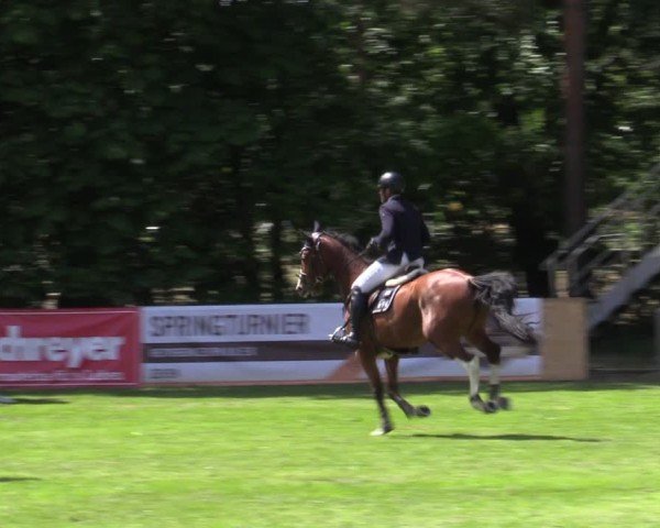 Reitturnier Zeven 2025