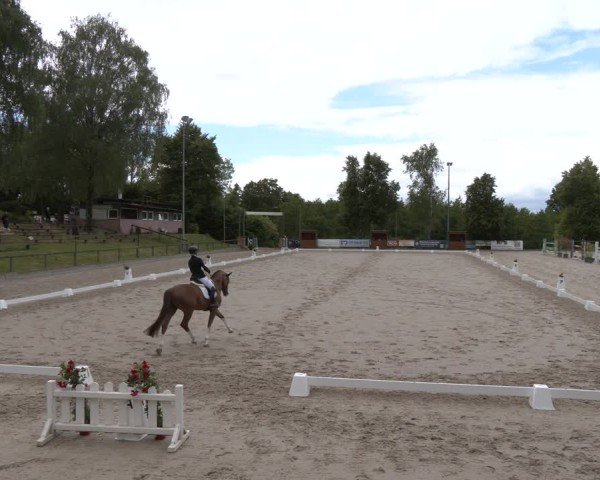 Reitturnier Erkrath - Uhlenhof 2025
