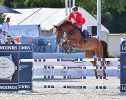 broodmare Londa (Oldenburg, 2015, from London)