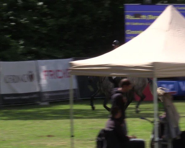 Reitturnier Zeven 2025