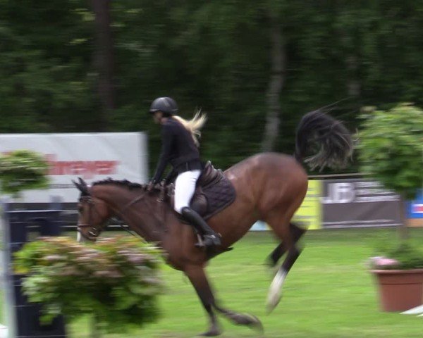 Reitturnier Zeven 2025