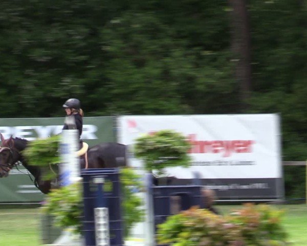 Reitturnier Zeven 2025