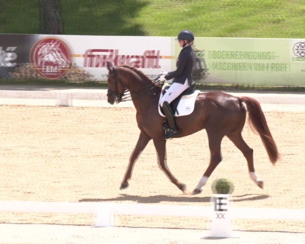 Reitturnier Stadl-Paura 2025