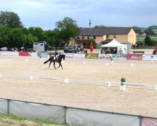 Reitturnier Mallersdorf-Pfaffenberg/Ndb. 2025