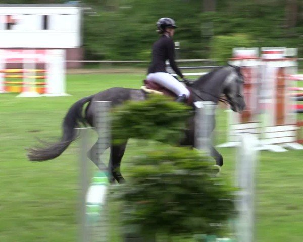 Reitturnier Zeven 2025