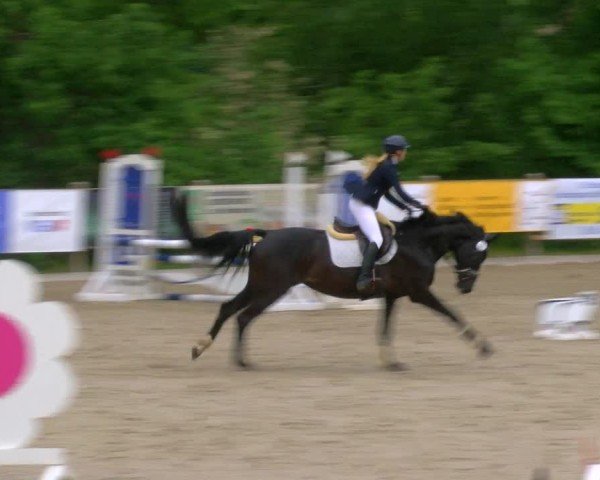 Reitturnier Alvern 2025