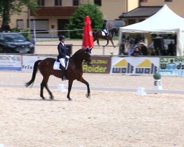 Reitturnier Mallersdorf-Pfaffenberg/Ndb. 2025