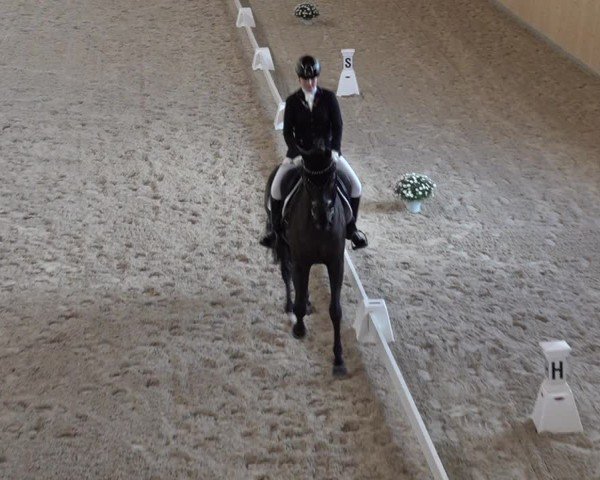 Reitturnier Aadorf 2025