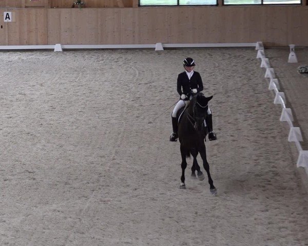 Reitturnier Aadorf 2025
