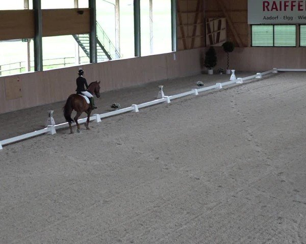 Reitturnier Aadorf 2025