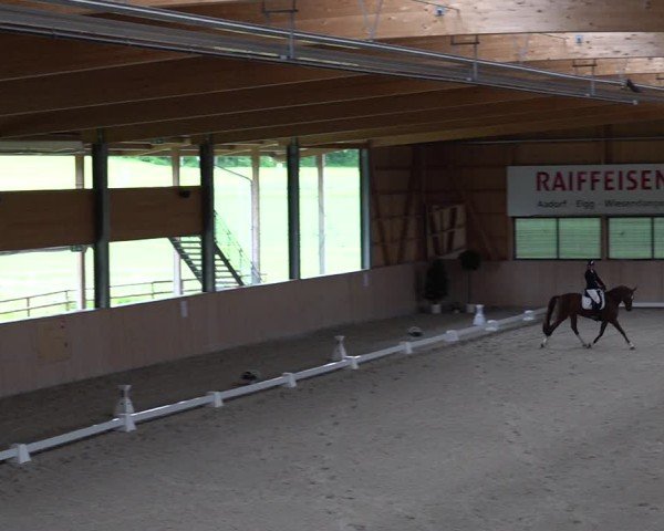 Reitturnier Aadorf 2025