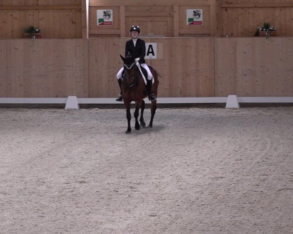 Reitturnier Aadorf 2025