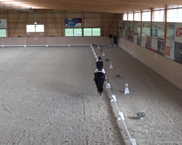 Reitturnier Aadorf 2025