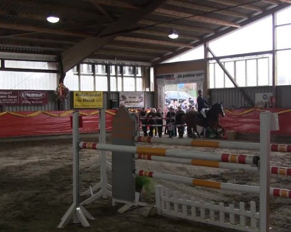 Hallenreitturnier Lindlar-Süttenbach 2014