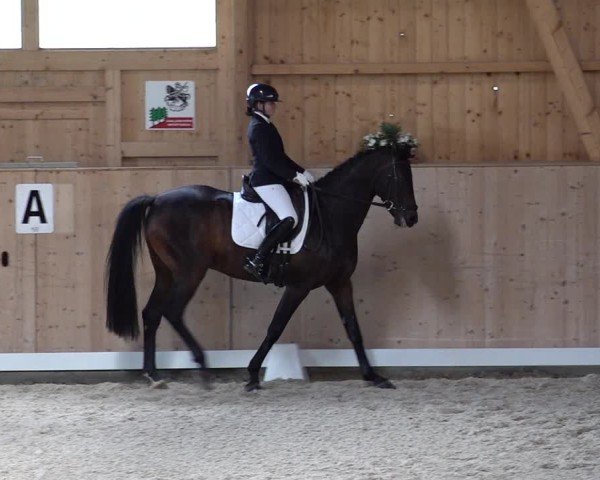 Reitturnier Aadorf 2025