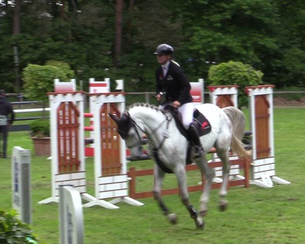 Reitturnier Zeven 2025