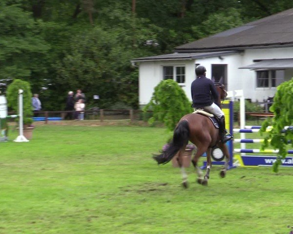 Reitturnier Zeven 2025