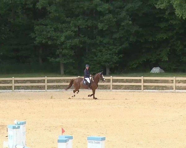 Reitturnier Tiefenhof/Opf. 2025