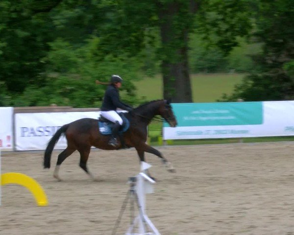 Reitturnier Alvern 2025