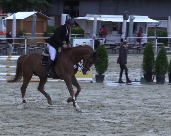 Reitturnier Ostenfelde-Vornholz 2025