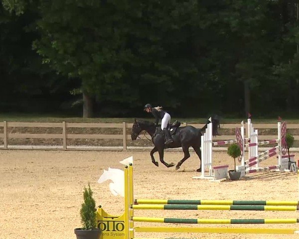 Reitturnier Tiefenhof/Opf. 2025