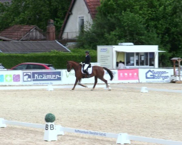 Reitturnier Mallersdorf-Pfaffenberg/Ndb. 2025