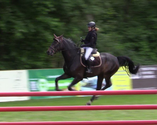 Reitturnier Zeven 2025
