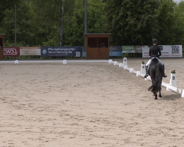 Reitturnier Erkrath - Uhlenhof 2025