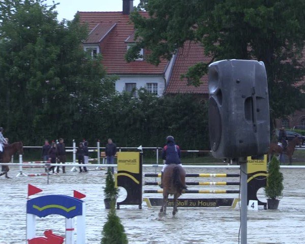 Reitturnier Ostenfelde-Vornholz 2025