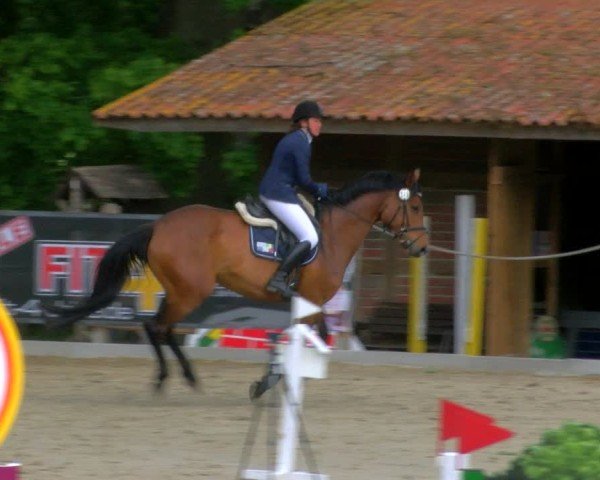 Reitturnier Alvern 2025